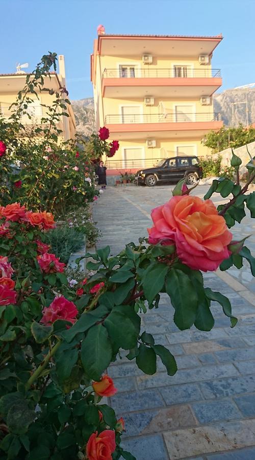 Dhori House ديرمي المظهر الخارجي الصورة