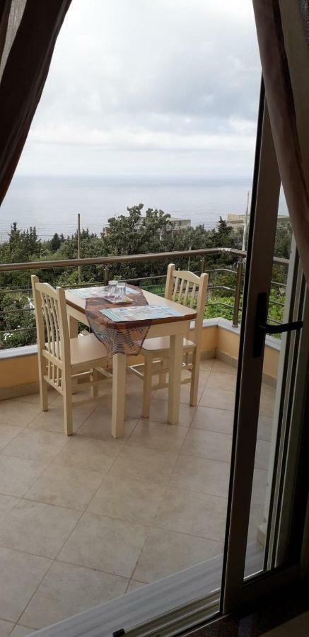 Dhori House ديرمي المظهر الخارجي الصورة
