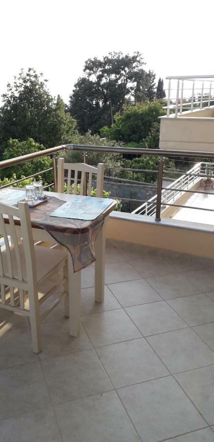 Dhori House ديرمي المظهر الخارجي الصورة